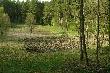 Tutaj dziki mog� sobie buchtowa� do b�lu...:)