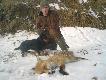Nory puste cho� po bia�ej stopie wida� liczne tropy. W tej by� pies..wielkie psisko.