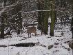 
...ju� si� "stroi"...