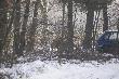 pojedynek