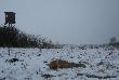 To by� �atwy strza�, zaplanowany d�ugo przed pojawieniem si� kity. 