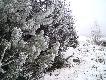 Wida�, �e ba�anty odwiedzaj� podsyp:-)