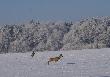 
.....jeszcze 30 metr�w a staranowa�y by mnie  ....