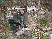 Poranny wypad w teren zako�czony oto tym-ostatnim byczkiem w tym sezonie......Dzi�ki....Pozdrawiam...DARZ B�R....Rajmund...