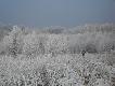 30.01.2011
Ostatnia zbior�wka na lisy i ba�anty.