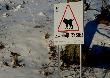 Takie c� stan�o w Bieszczadach...