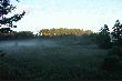 rykowisko 2005
Jeszcze trwa niby ale ju�  apogeum mamy gdzieniegdzie za sob� ... no c�z bywa 