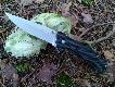 M�j nowy nabytek.CRKT Hammond Cruiser  D�. g�owni	95 mm
Grubo�� g�owni	3.5 mm
Rodzaj ostrza	Recurve
Twardo�� g�owni	55/57 HRC
Mechanizm blokuj�cy	Liner-Lock + LAWKS
Waga	175 g
Materia� g�owni	AUS-6M
Materia� r�koje�ci	Zytel
D�ugo�� ca�kowita	225 mm  