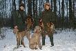 30.01.2011. Indywidualne polowanie w Luszynie. W roli ps�w Elba i jej c�rka Belissa :)
