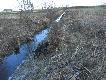Aport przez r�w, dziesi�c metr�w dalej siedzialy jeszcze dwa koguty zostal tylko jeden :)