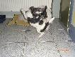 Jeszcze im ma�o ...