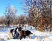 Zbior�wka na ukrainie. Niezale�nie od typu polowania psy bior� zawsze....