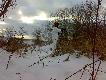 Lis kt�ry myszkowa� obok nor by� dla mnie nie widoczny w trawach kt�re go skutecznie przykrywa�y,po sp�oszeniu obieg� mnie w oko�o i chcia� si� skry� w jednym z okien.Luneta szybko prze��czona na krotno�� 3 i czekam....Gdy si� pojawi� emocje nie do opisania,my�la� �e mu si� uda�o,przeliczy� si�.Strza� z 2m po�o�y� lisa w ogniu.