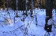Po  odwil�y... 