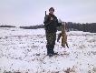 27-02-2011 r. Lis pozyskany w okolicy m. Leszcz. Strza� na granicznym przepisowym dystansie. Sztucer Bars kal.223 Rem.