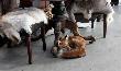 Robi� dobre wra�enie-co� dla Bartona he he.