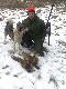 Luty 2011r. Sezon zamkni�ty. Trzeba czeka� do pa�dziernika......... A p�ki co-ROSO�EK:):)