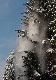 Pi�knie si� sypa�o na g�ow�:-)