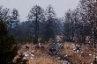 W powietrzu -5, w wodzie +5. Zimna woda im nie straszna. Zdj�cie obci�te nieco.