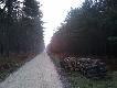 Obw�d 148 "Wyry"