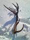 Waga 3,8kg,obw�d r�y 28 cm,d�ugosc w lini prostej 92 cm,