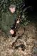 10 marzec 2011  pierwszy jenot w �yciu mym