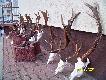 i jeszcze z tego uj�cia...