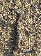 Lewa tyka 2,65 kg.Dolny obw�d 18,5 cm, g�rny 15,3 cm.