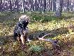 ...ciekawe gdzie drugi le�y...