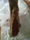 D�ugo oczekiwane pierwsze ci�cie...