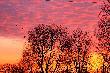 taki zach�d zdarza si� raz kiedy�, nie mia�em przy sobie mniejszego obiektywu ... pech :-(