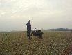 ,,Tatkotaczkokabana,, wczorajszy dziczek taty. 61Kg. Tak wyjecha� z mokrego pola.D.B. 