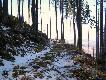 Powy�ej 1000 m n.p.m.