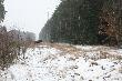 Cztery byki wybieg�y prosto na mnie na zbior�wce. Troch� si� wystraszy�em, ale jam mnie zobaczy�y to mnie obieg�y i dopiero wtedy odwa�y�em si� zrobi� zdj�cie!