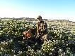 PIERWSZY....;-)