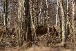 Podszed�em do nich na dobre 20 metr�w