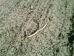 a to moj dzisiejszy troche musia� pole�ec:)