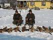 Wsp�praca z koleg� Micha�em to gwarantowany sukces.