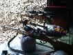 i� 94 w 308 win. sauer w 7x64