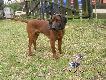 Ja i w�ze�ek !