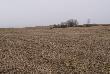 2 Poniedzia�kowy zrzut,11.04.11 pierwszy widok..