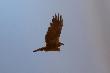 10-04-2011 b�otniaczek