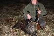 ostatnie zdj�cie w tej galerii i ostatni dzik w tym sezonie! d�ugo b�d� pami�ta� to polowanie! 