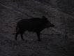 A to widok z lewej strony ambony w sumie by�o 11 loch i nie do zliczenia pasiak�w niekt�re zdj�cia s� nie ostre poniewa� robi�em je na szar�wce