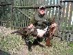Dzik z Puszczy Noteckiej,kt�rego pozyska�em w dniu 17.04.2011r. o godz.21:50.Wysz�o mi na pole 12szt. wybra�em tego dzika i odda�em strza�,ca�a wataha znikne�a w lesie.Waga dzika w skupie 55kg.