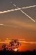 B�d� tu m�dry i r�b zdj�cia...