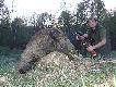 Spacerowa�em po lesie i dzika uda�o mi si� strzeli�