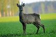 24-04-2011 Poranny podch�d :-)