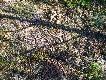 Ot, takie co� dla tropicieli :-)