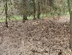 Musia�o by� du�o �wi�tecznych go�ci....